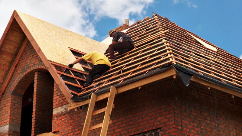 renovation of your roof
